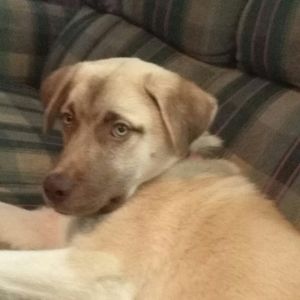 Meet your Posher, Quentin